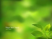 現(xiàn)實(shí)的綠色自然背景