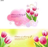郁金香和向量
