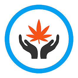 手中的楓葉按鈕圖標圖片