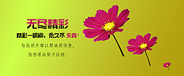 鮮花Banner 海報