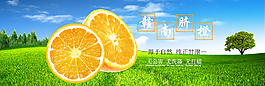 農(nóng)林牧業(yè)banner設計