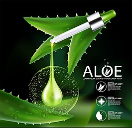 清新蘆薈植物背景精華宣傳廣告矢量素材