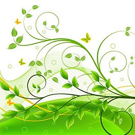 绿色植物花叶的成分设计背景图案矢量海报图