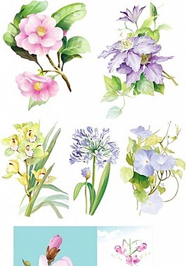 花朵背景素材
