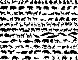 矢量動物設計圖片