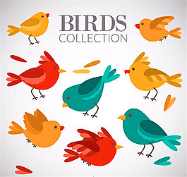 彩色卡通鳥類矢量