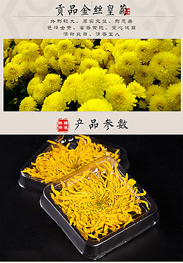 茶模板  花茶類模板