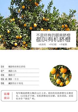 贛南臍橙