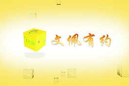 文佩有約  ae模板