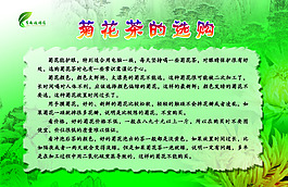 菊花茶的選購