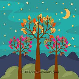 夜晚的森林景觀