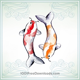 錦鯉魚與水彩畫插圖