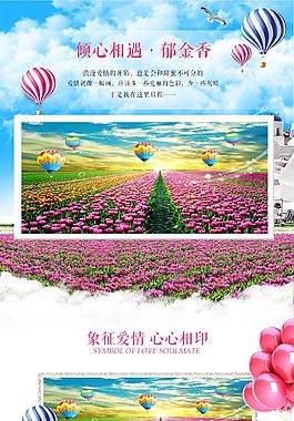 郁金香