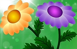 免費矢量菊花