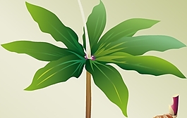 矢量植物
