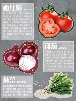 蔬菜介绍海报