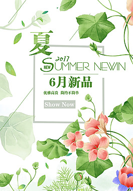 6月夏季新品