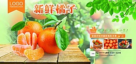 新鲜桔子海报