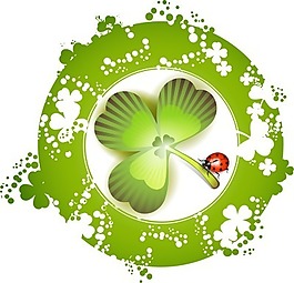 三葉草和瓢蟲的插圖