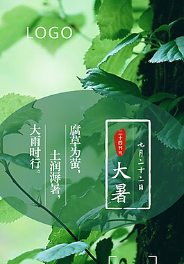 24節(jié)氣大暑海報