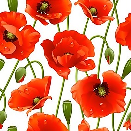 時(shí)尚花紋矢量3