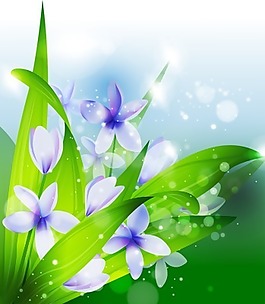 花卉插圖