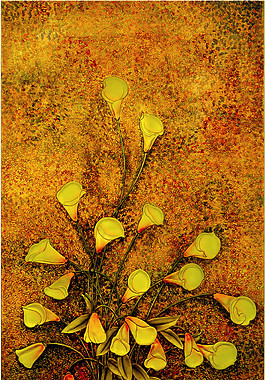 馬蹄蓮玄關(guān)圖