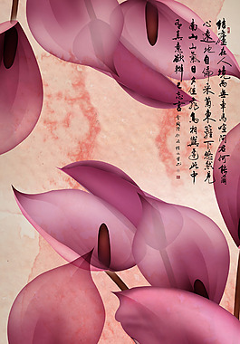 紫色馬蹄蓮玄關(guān)