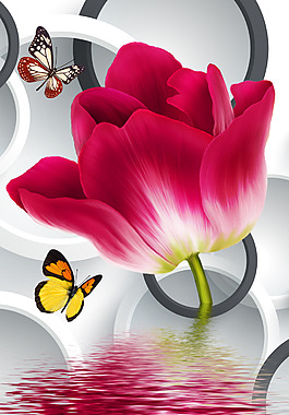 紅花蝴蝶倒影玄關(guān)