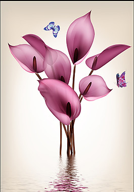 馬蹄蓮倒影玄關(guān)圖
