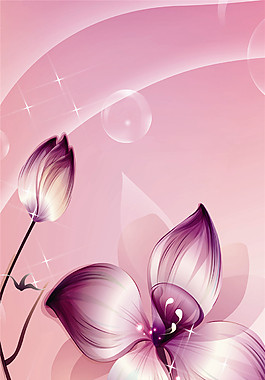 花朵玄關(guān)圖