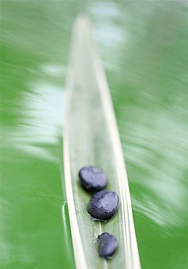 風景玄關