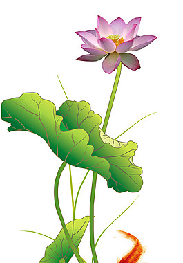 荷花蓮葉魚兒玄關圖