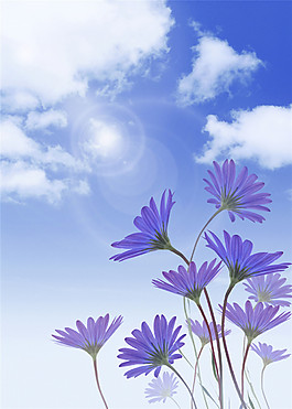 紫色花朵玄關(guān)圖