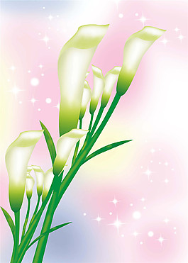 夢幻馬蹄蓮玄關(guān)圖