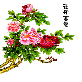 花開富貴背景墻