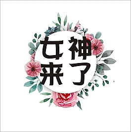 女神來了