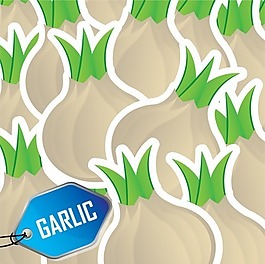 帶標(biāo)簽的大蒜插圖圖案