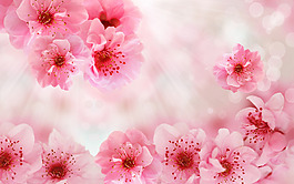 缤纷桃花背景墙