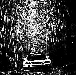 竹林賽車黑白