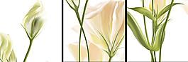 花朵家居三聯(lián)畫裝飾畫設(shè)計(jì)