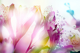 抽象元素背景墻