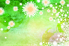蒲公英花卉背景墻