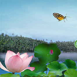 荷花風(fēng)景裝飾畫
