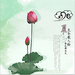 夏日蓮花裝飾畫
