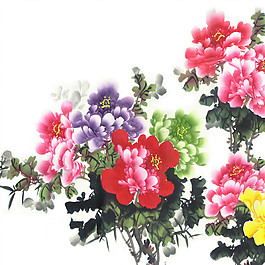 花開富貴裝飾畫