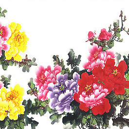 花開富貴裝飾畫