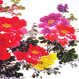 牡丹花開裝飾畫