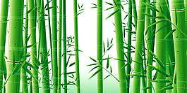 绿色竹子素材背景墙