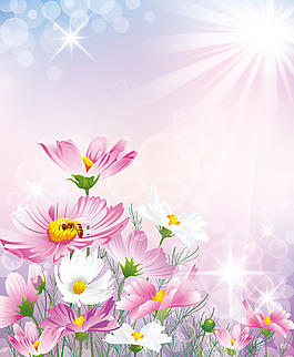 陽(yáng)光花瓣裝飾墻